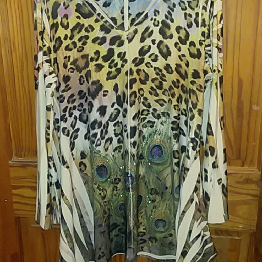 large shirt/dress